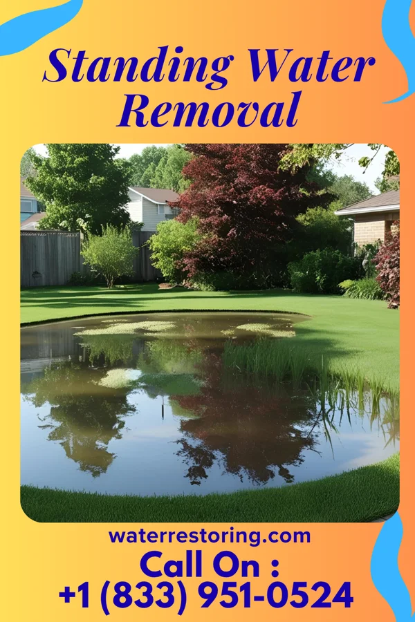 Standing Water Removal in Mahomet, IL